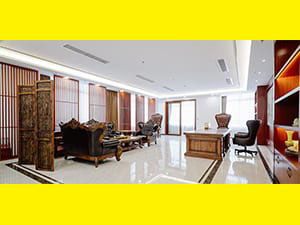 Directors Office DOVE China Project Directors Office